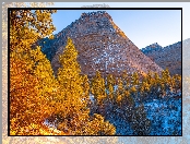 Stany Zjednoczone, Jesień, Drzewa, Utah, Park Narodowy Zion, Góra, Checkerboard Mesa