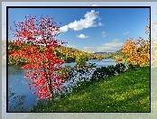 Jesień, Jezioro, Vermont, Lasy