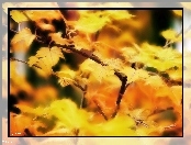 Żółte, Fractalius, Jesienne, Liście