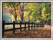 Jesienny, Płotek, Park, Drewniany
