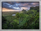 Jeziora, Wzgórze Quiraing, Chmury, Góry, Wyspa Skye, Szkocja, Drzewo, Wzgórza