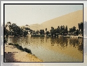 Jeziorko, Peru, Drzewa, Oaza