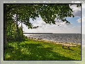 Jezioro, Zieleń, Ławka, Drzewo