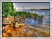 Jezioro, Szuwary, Brzeg, Kamienie