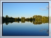 Jezioro, Drzewa