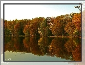 Jezioro, Drzewa