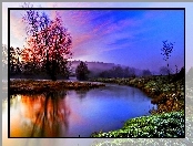 Jezioro, Drzewa