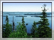 Jezioro, Finlandia, Drzewa, Koli