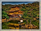 Drzewa, Jezioro, Japonia