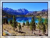 Jezioro, Kalifornia, Drzewa, Góry