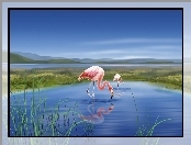 Jezioro, Grafika, Dwa, Flamingi