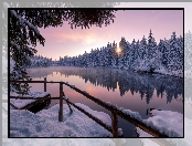 Jezioro, Zima, Ośnieżone, Etang de la Gruere, Szwajcaria, Śnieg, Kanton Jura, Las, Drzewa