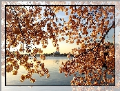 Jezioro, Gałązki