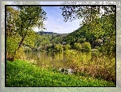 Góry, Jezioro, Drzewa