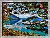 Góry, Jezioro, Drzewa