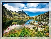 Jezioro, Kwiatki, Góry, Kamienie