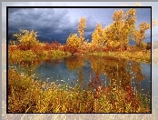 Jezioro, Drzewa, Jesień, Złote