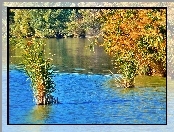 Jesień, Jezioro, Szuwary