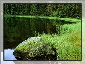 Jezioro, Las, Kamień, Trawa