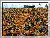 Jezioro, Jesień, Liście, Klonu, Łódka