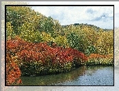 Jezioro, Jesień, Kolorowe, Drzewa