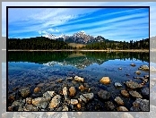 Las, Jezioro, Kamienie