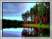 Las, Jezioro, Odbicie