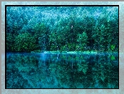 Las, Jezioro, Odbicie