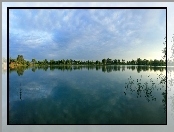 Jezioro, Rośliny, Las, Drzewa