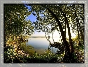 Jezioro, Światło, Las, Przebijające
