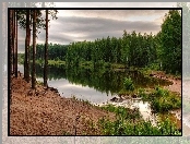 Jezioro, Lasek