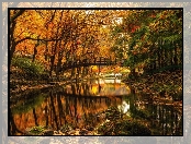 Jezioro, Mostek