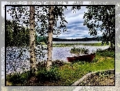 Jezioro, Trawa, Łódź, Brzozy