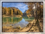 Jezioro Lai da Palpuogna, Kanton Gryzonia, Alpy Retyckie, Szwajcaria, Góry, Modrzewie, Drzewa, Jesień