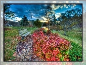 Park, Jezioro, Ławka