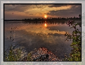 Jezioro, Zachód Słońca, Rośliny