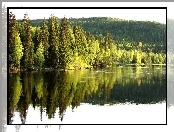 Wzgórze, Jezioro, Las