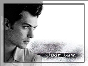 Jude Law, profil twarzy