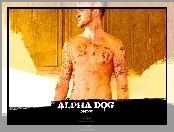 Justin Timberlake, Alpha Dog