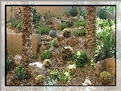 Kaktusy, Ogród