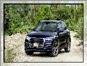 Audi Q5 TFSI Quattro SUV Navarra Blue, 2017, Kaktusy