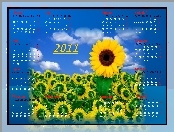 Słonecznik, Kalendarz 2011