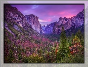 Dolina Yosemite Valley, Stan Kalifornia, Jesień, Stany Zjednoczone, Park Narodowy Yosemite, Góry, Drzewa, Lasy