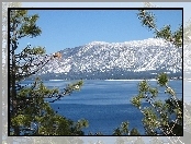 Kalifornia, Jezioro, Drzewo, Góry, Tahoe