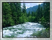 Kalifornia, Rzeka, Las, Góry, Yosemite