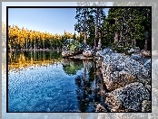 Las, Kalifornia, Jezioro Tenaya, Yosemite Park Narodowy