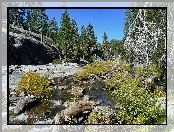 Kalifornia, Kamienista, Rzeka, Las, Yosemite