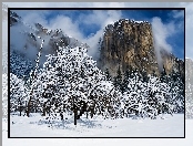Kalifornia, El Capitan, Park, Narodowy, Yosemite