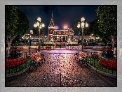 Kalifornia, Dom, Świąteczne, Oświetlenie, Disneyland