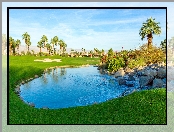 Pole golfowe, Kalifornia, Stany Zjednoczone, Staw, Kamienie, Palmy, Miejscowość Palm Springs